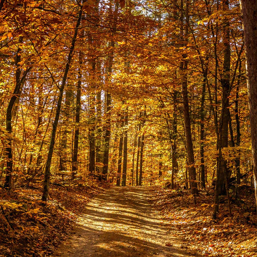 Five Colorful Fall Hikes on the Eastern Seaboard