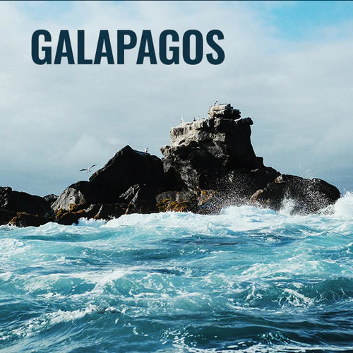 Adventure Guide: Galapagos