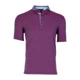 Arcadia Polo