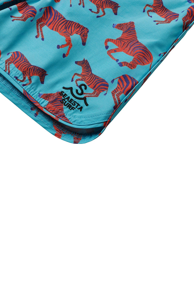 Zébre Boardshorts / Turquoise